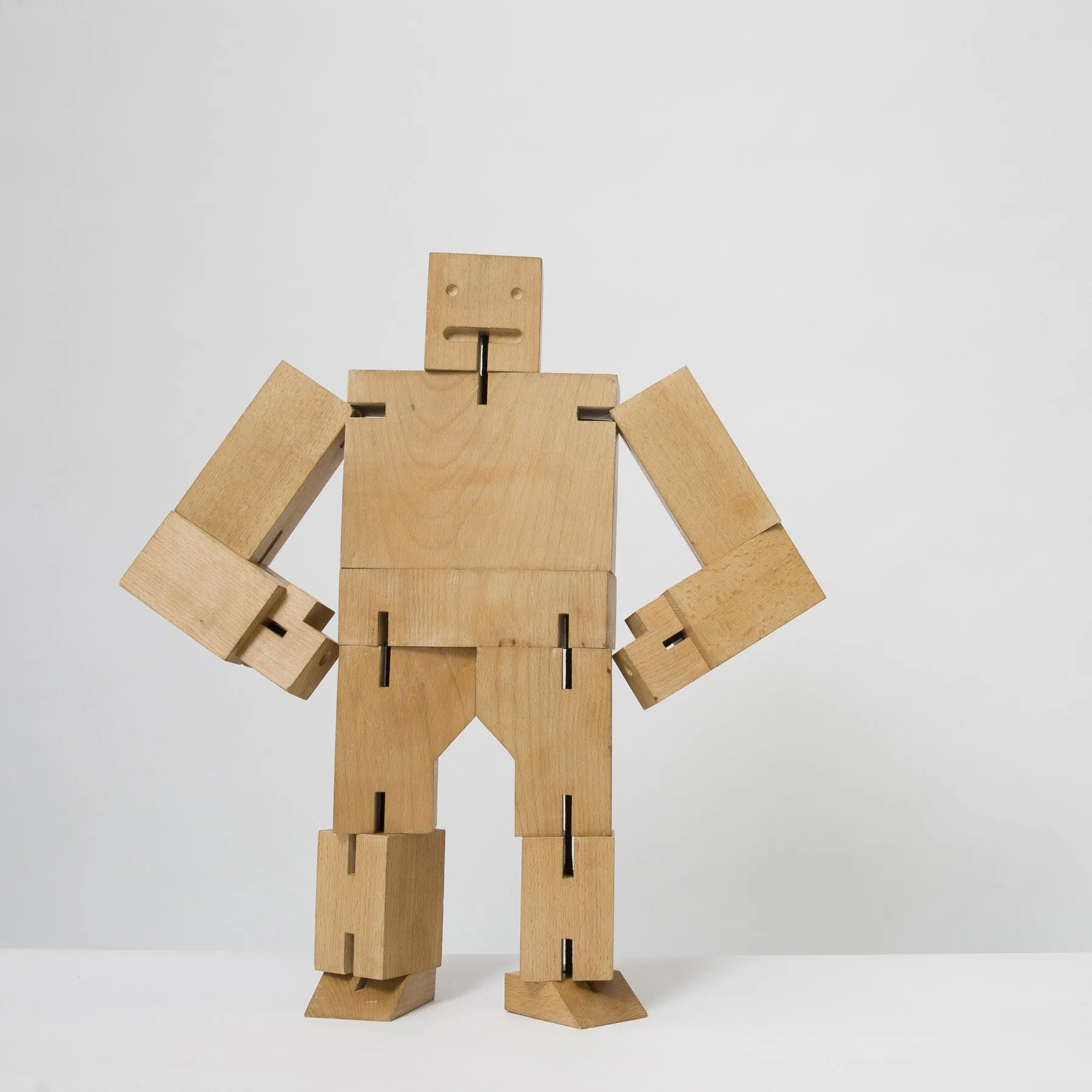 Medium Cubebot Set of 2