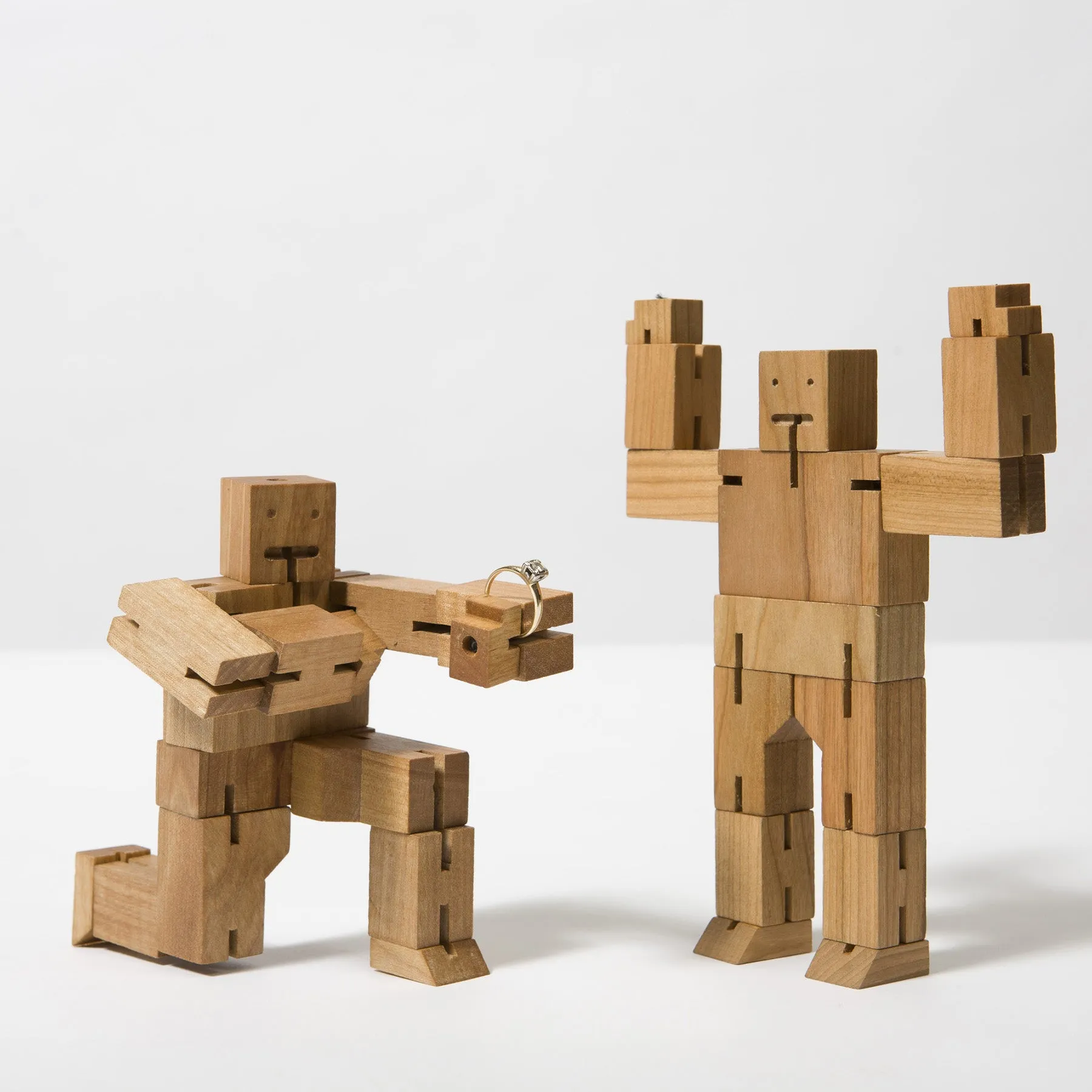 Medium Cubebot Set of 2