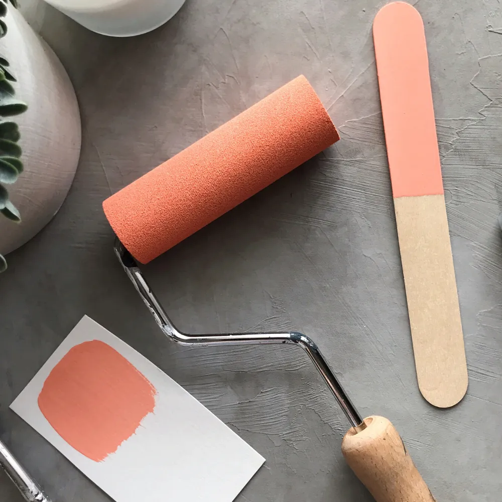 One Step Paint - Coral