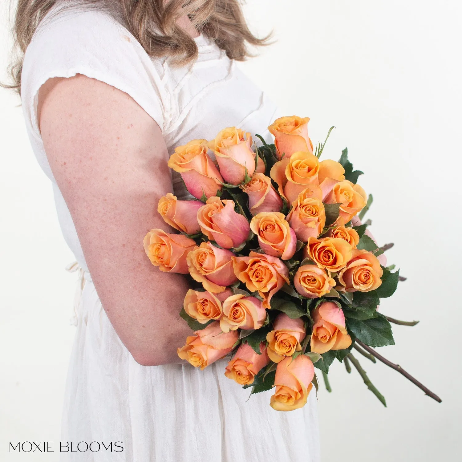 Peach Serenade Roses