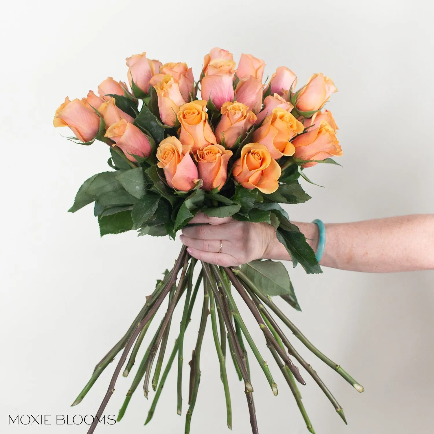 Peach Serenade Roses